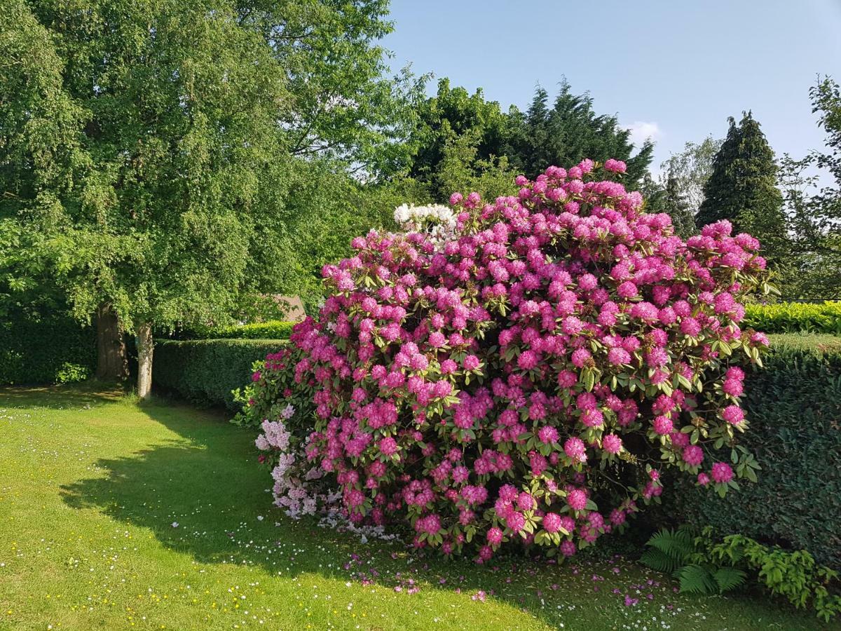 B&B Prince D'Orange Waterloo Exteriér fotografie